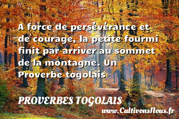 A force de persévérance et de courage, la petite fourmi - Proverbes togolais - Proverbes vie