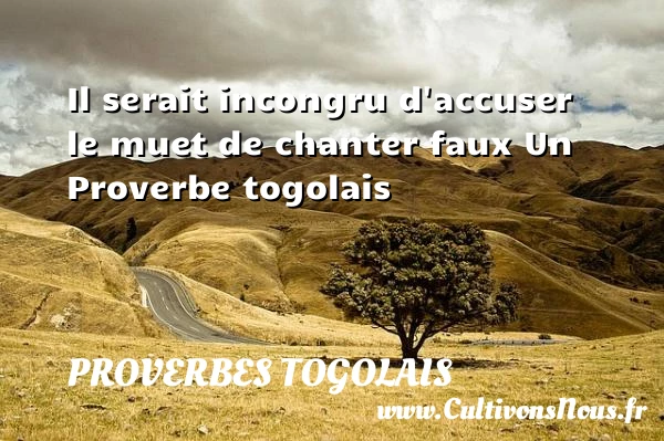 Il serait incongru d’accuser le muet de chanter - Proverbes togolais - Proverbes philosophiques