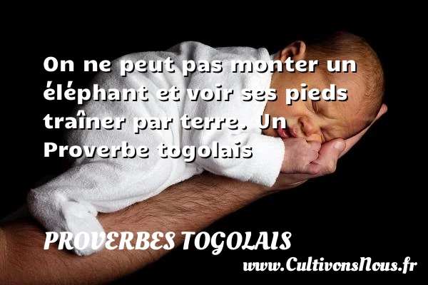 On ne peut pas monter un éléphant et voir - Proverbes togolais - Proverbes philosophiques