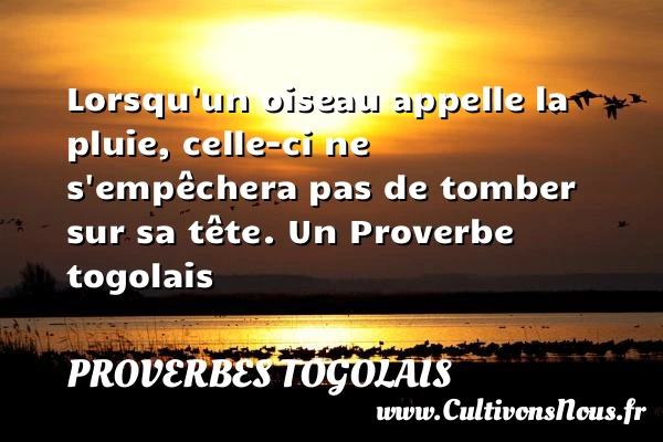 Lorsqu’un oiseau appelle la pluie, celle-ci ne s’empêchera pas de tomber - Proverbes togolais - Proverbes philosophiques