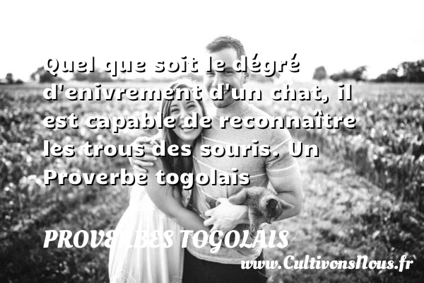 Quel que soit le dégré d’enivrement d’un chat, il est capable de reconnaître les - Proverbes togolais - Proverbes connus - Proverbes philosophiques