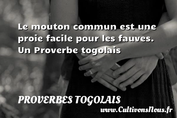 Le mouton commun est une proie facile pour les - Proverbes togolais - Proverbes philosophiques