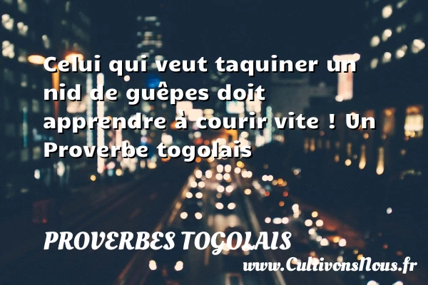 Celui qui veut taquiner un nid de guêpes doit apprendre à courir - Proverbes togolais - Proverbe apprendre