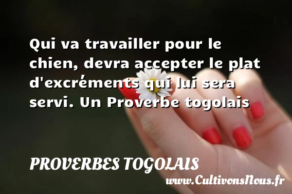 Qui va travailler pour le chien, devra accepter le plat - Proverbes togolais