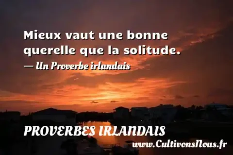 Mieux vaut une bonne querelle que la solitude. - Un Proverbe irlandais PROVERBES IRLANDAIS