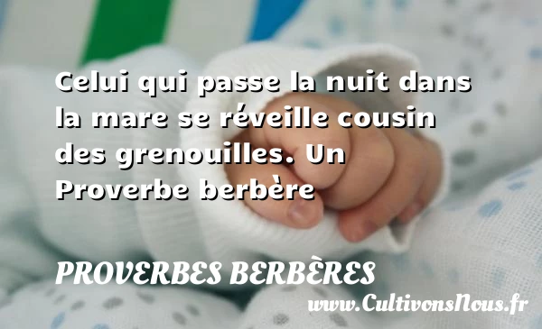 Celui qui passe la nuit dans la mare se - Proverbes berbères