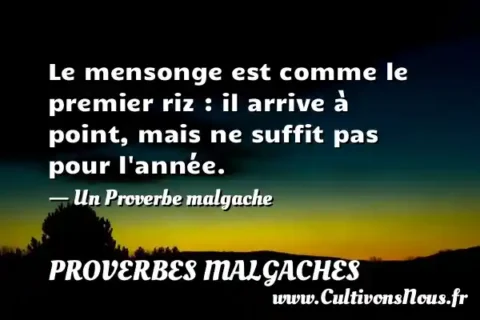 Le mensonge est comme le premier riz : il arrive à point, mais ne suffit pas pour l année. - Un Proverbe malgache PROVERBES MALGACHES