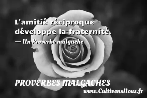 L amitié réciproque développe la fraternité. - Un Proverbe malgache PROVERBES MALGACHES