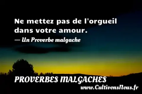 Ne mettez pas de l orgueil dans votre amour. - Un Proverbe malgache PROVERBES MALGACHES