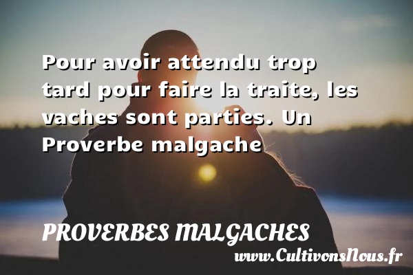 Pour avoir attendu trop tard pour faire la - Proverbes malgaches - Proverbes connus - Proverbes fun - Proverbes philosophiques