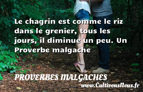 Le chagrin est comme le riz dans le grenier, tous les jours, il diminue - Proverbes malgaches - Proverbes fun