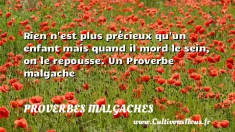 Rien n est plus précieux qu un enfant mais quand il mord le sein, on le repousse. Un Proverbe malgache PROVERBES MALGACHES