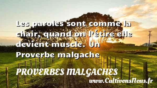 Les paroles sont comme la chair, quand on l’étire - Proverbes malgaches - Proverbes philosophiques