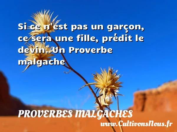 Si ce n’est pas un garçon, ce sera une fille, - Proverbes malgaches - Proverbes philosophiques