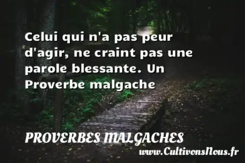 Celui qui n a pas peur d agir, ne craint pas une parole blessante. Un Proverbe malgache PROVERBES MALGACHES