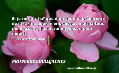 Si je ne suis haï que d un seul, je préparerai de la farine pour m engraisser, mais si tous me haïssent, j avalerai un poison pour mourir. - Un Proverbe malgache PROVERBES MALGACHES