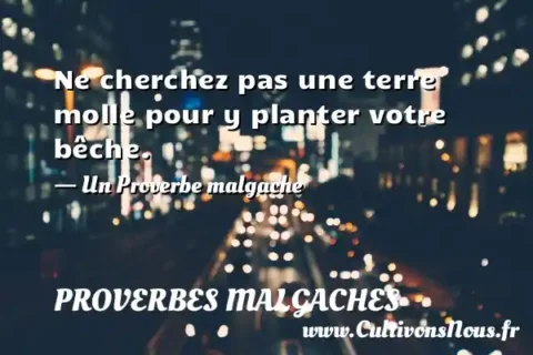 Ne cherchez pas une terre molle pour y planter votre bêche. - Un Proverbe malgache PROVERBES MALGACHES
