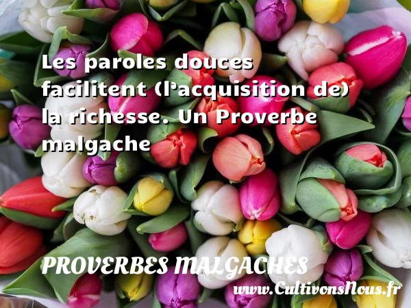 Les paroles douces facilitent (l’acquisition de) la richesse. - Proverbes malgaches - Proverbes philosophiques - Proverbes richesse