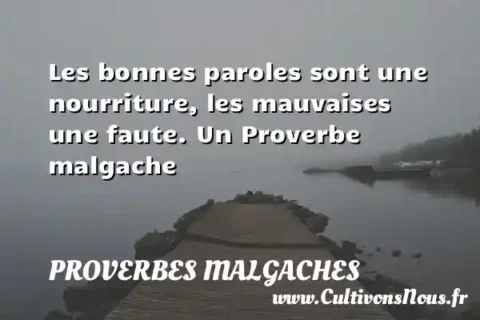 Les bonnes paroles sont une nourriture, les mauvaises une faute. Un Proverbe malgache PROVERBES MALGACHES