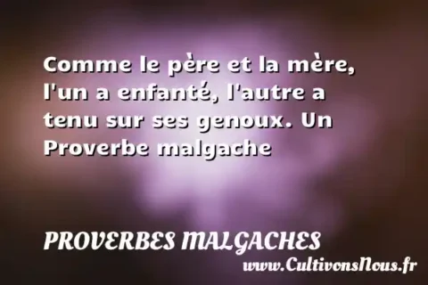 Comme le père et la mère, l un a enfanté, l autre a tenu sur ses genoux. Un Proverbe malgache PROVERBES MALGACHES