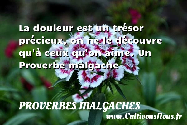 La douleur est un trésor précieux, on ne le découvre qu’à - Proverbes malgaches - Proverbes douleur