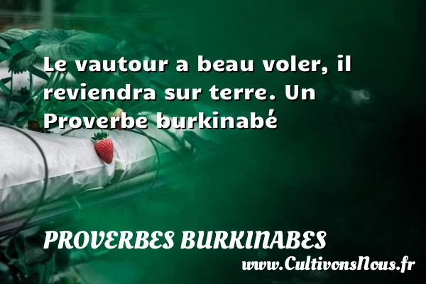 Le vautour a beau voler, il reviendra sur - Proverbes burkinabes - Proverbes fun - Proverbes philosophiques