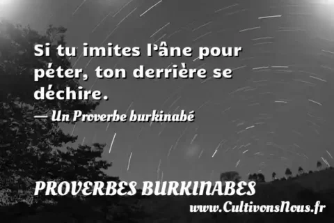 Si tu imites l’âne pour péter, ton derrière se déchire. - Un Proverbe burkinabé PROVERBES BURKINABES