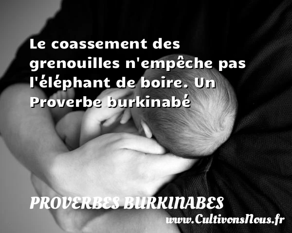 Le coassement des grenouilles n’empêche pas l’éléphant de - Proverbes burkinabes - Devise - Proverbes fun - Proverbes philosophiques