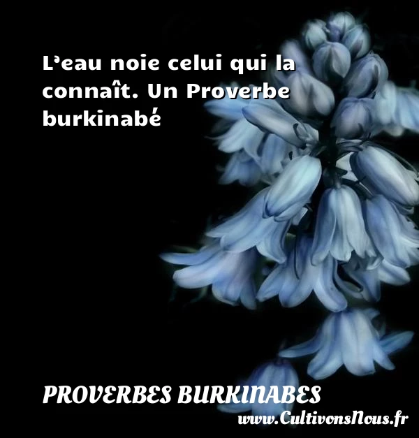 L’eau noie celui qui la connaît. - Proverbes burkinabes