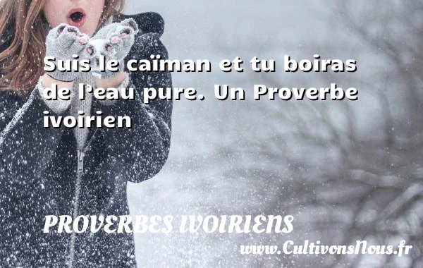 Suis le caïman et tu boiras de l’eau - Proverbes ivoiriens - Proverbes philosophiques