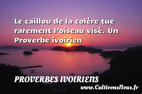 Le caillou de la colère tue rarement l’oiseau - Proverbes ivoiriens - Proverbes philosophiques