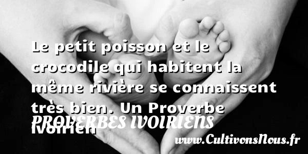 Le petit poisson et le crocodile qui habitent la même rivière - Proverbes ivoiriens - Proverbes connus - Proverbes philosophiques