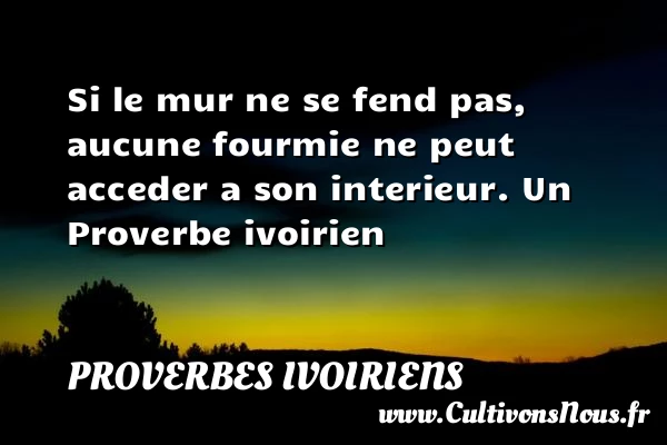 Si le mur ne se fend pas, aucune fourmie ne peut - Proverbes ivoiriens - Proverbes philosophiques