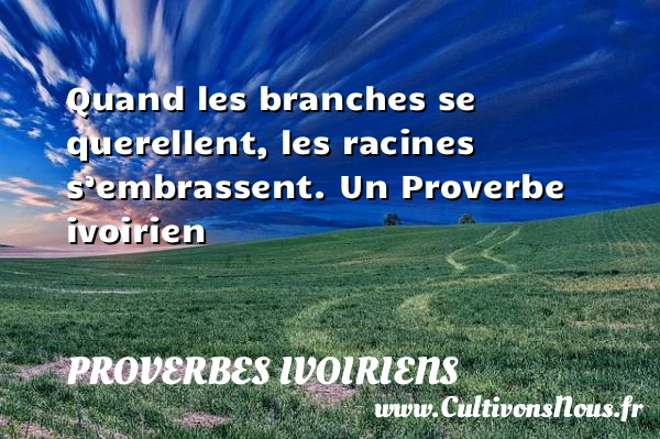 Quand les branches se querellent, les racines s’embrassent. - Proverbes ivoiriens - Proverbes femmes