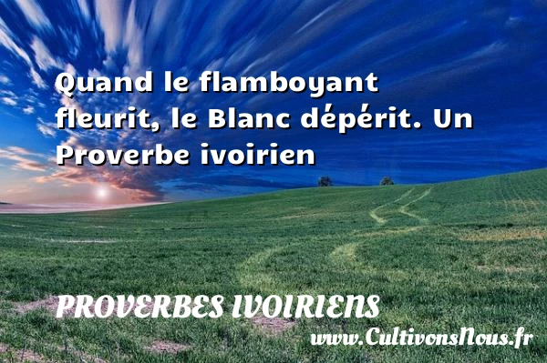 Quand le flamboyant fleurit, le Blanc dépérit. - Proverbes ivoiriens - Proverbes philosophiques