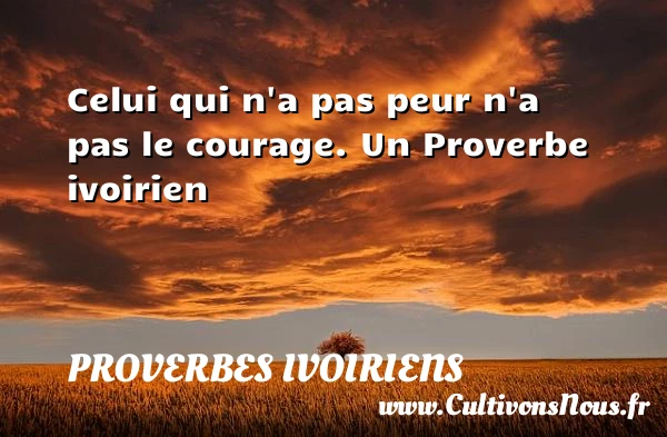 Celui qui n’a pas peur n’a pas le - Proverbes ivoiriens - Proverbes philosophiques