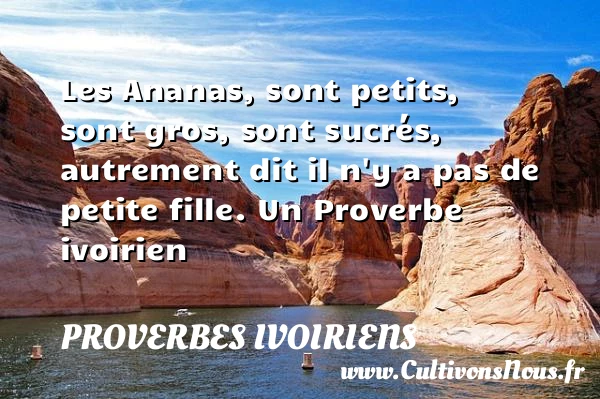 Les Ananas, sont petits, sont gros, sont sucrés, autrement dit il n’y - Proverbes ivoiriens - Proverbes philosophiques