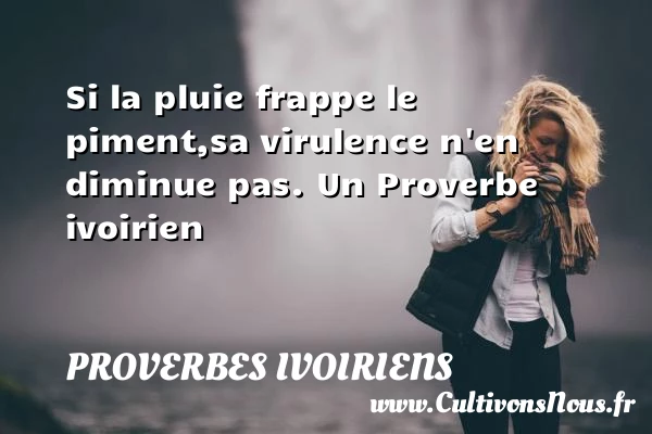 Si la pluie frappe le piment,sa virulence n’en - Proverbes ivoiriens - Proverbes fun - Proverbes philosophiques