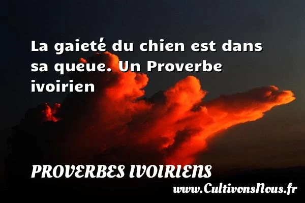 La gaieté du chien est dans sa queue. - Proverbes ivoiriens