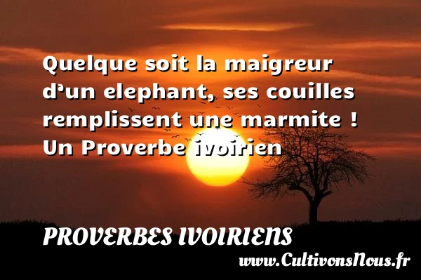 Quelque soit la maigreur d’un elephant, ses couilles remplissent une marmite - Proverbes ivoiriens