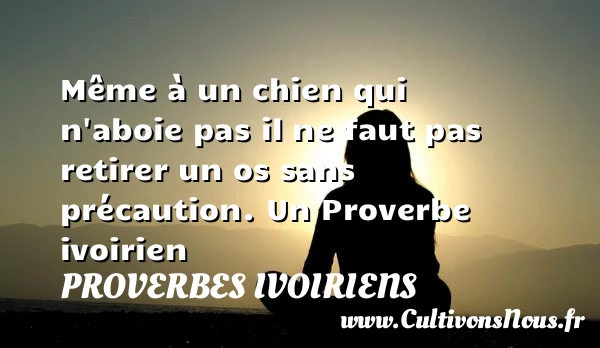 Même à un chien qui n’aboie pas il ne faut - Proverbes ivoiriens