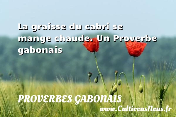 La graisse du cabri se mange chaude. - Proverbes gabonais - Devise - Proverbes philosophiques