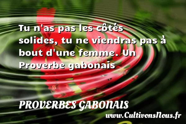 Tu n’as pas les côtés solides, tu ne - Proverbes gabonais - Proverbes philosophiques