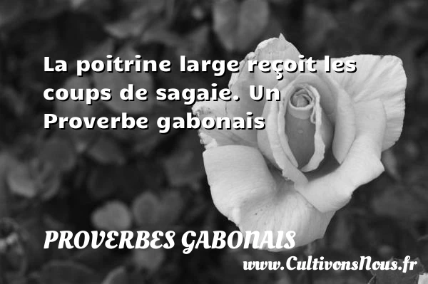 La poitrine large reçoit les coups de sagaie. - Proverbes gabonais - Proverbes philosophiques