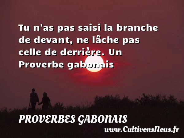 Tu n’as pas saisi la branche de devant, ne lâche pas celle - Proverbes gabonais - Proverbes fun - Proverbes philosophiques