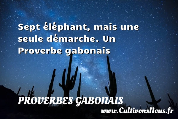 Sept éléphant, mais une seule démarche. - Proverbes gabonais - Proverbes fun - Proverbes philosophiques