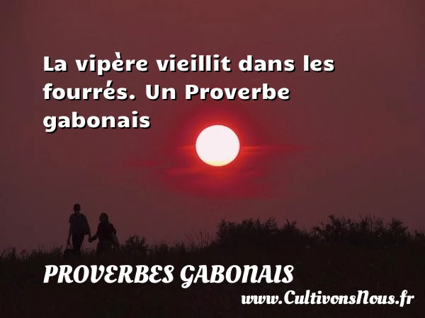La vipère vieillit dans les fourrés. - Proverbes gabonais - Proverbes fun - Proverbes philosophiques
