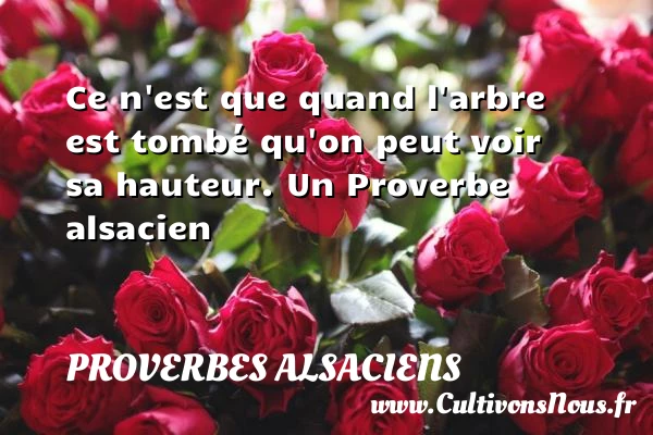 Ce n’est que quand l’arbre est tombé qu’on - Proverbes alsaciens