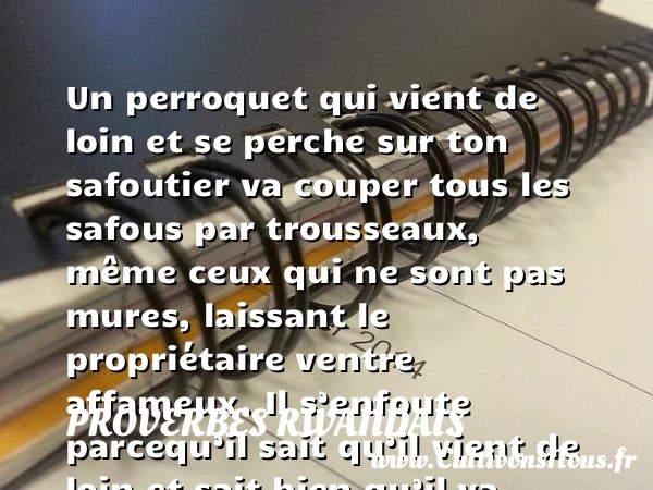 Un perroquet qui vient de loin et se perche sur ton safoutier - Proverbes rwandais - Proverbes philosophiques