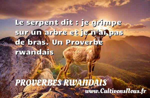 Le serpent dit : je grimpe sur un arbre et - Proverbes rwandais - Proverbes philosophiques